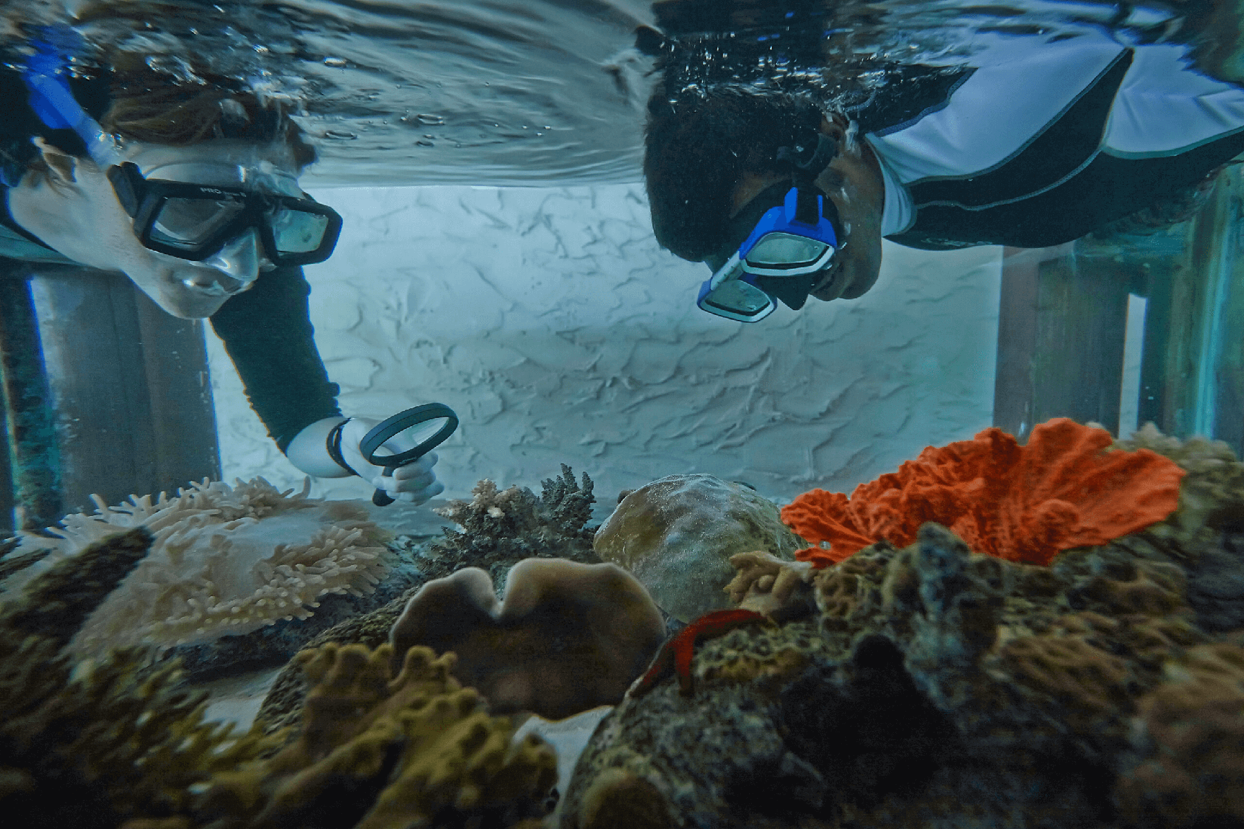 Become an ocean advocate with Huvafen Fushi's marine biologist mentors. Craft your own underwater adventure, guided by experts who unveil the wonders of the Maldivian reefs. Learn, explore, and contribute to their vital work, leaving a lasting positive impact on this breathtaking ecosystem.